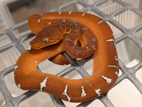 PXL_20251204_123839005~2