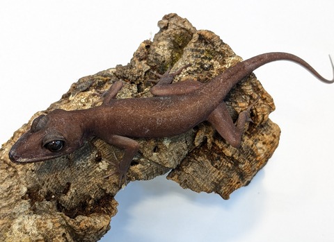 PXL_20250623_101332243~2