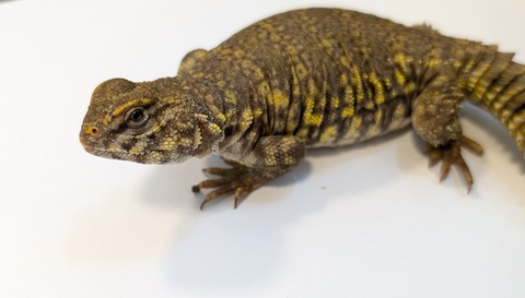 PXL_20250401_101651735~2