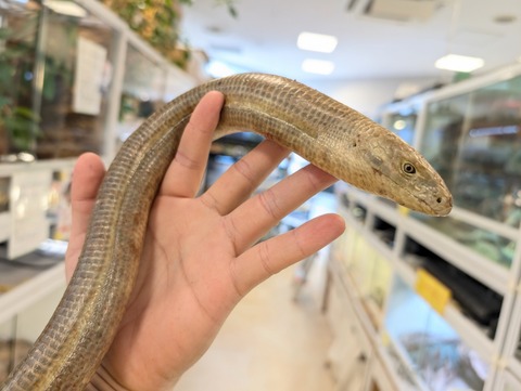 PXL_20250520_051003550~2