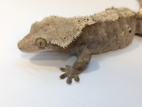 PXL_20250401_095059031