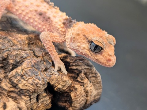 PXL_20250106_101013652~2