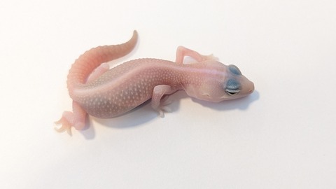 PXL_20250919_115551821~2