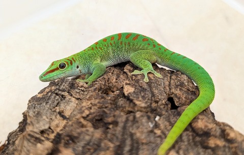 PXL_20250823_095820111~2