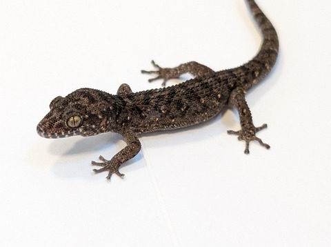 PXL_20250401_100253098~2