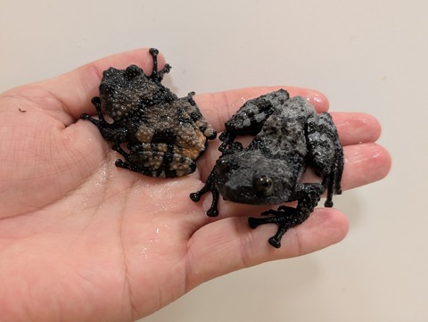 PXL_20250620_132722612~2