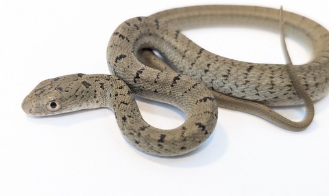 PXL_20251027_102910423~2