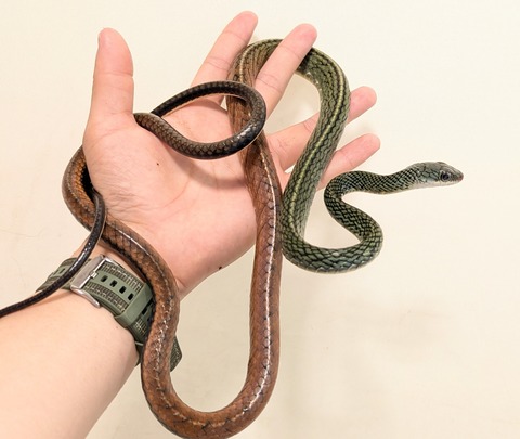 PXL_20251114_092850317~2