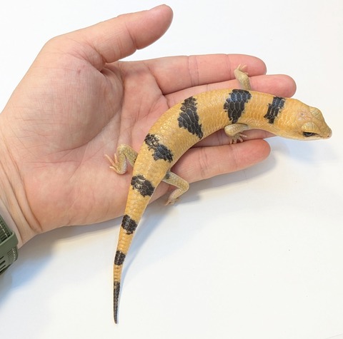 PXL_20250504_111419418~2