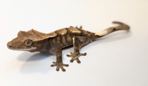 PXL_20250815_083616479~2