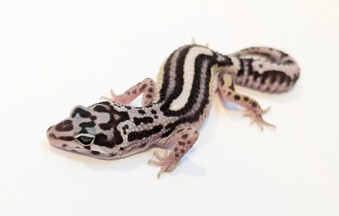 PXL_20250504_105540168~2