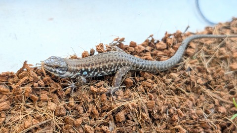 PXL_20250919_065334602~2