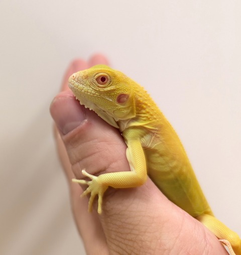 PXL_20250620_131127774~2