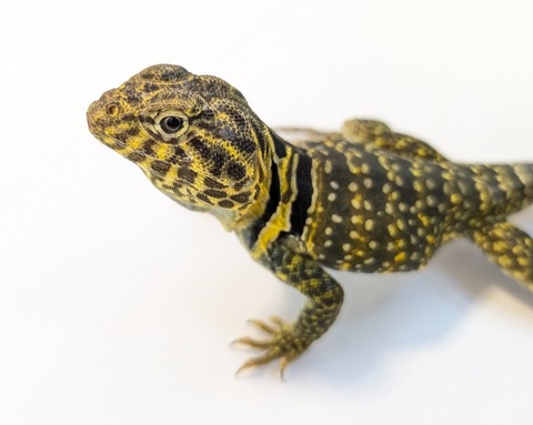 PXL_20250623_103511314~2