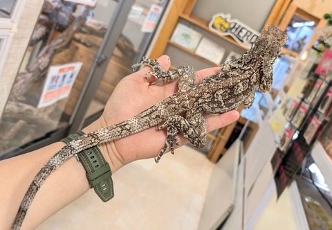 PXL_20250902_082948498~2