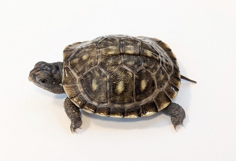 PXL_20251103_100753012~2