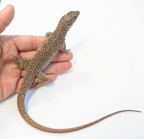 PXL_20250906_100440025~2