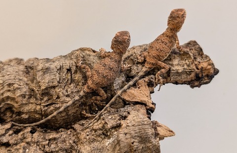 PXL_20260122_091805087~2