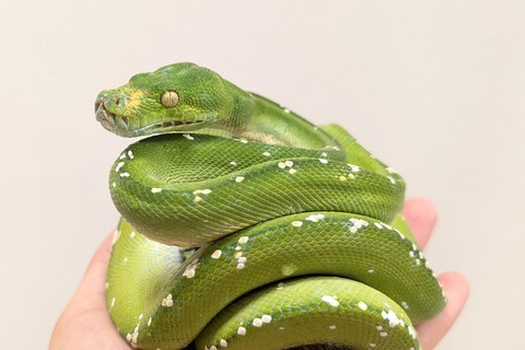 PXL_20250920_111253889~2