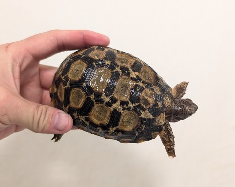 PXL_20260204_094210502~2