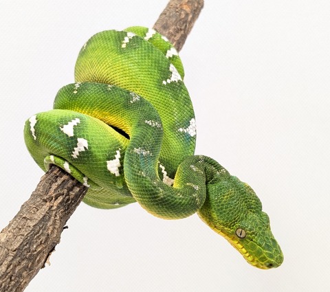 PXL_20250520_075111146~2