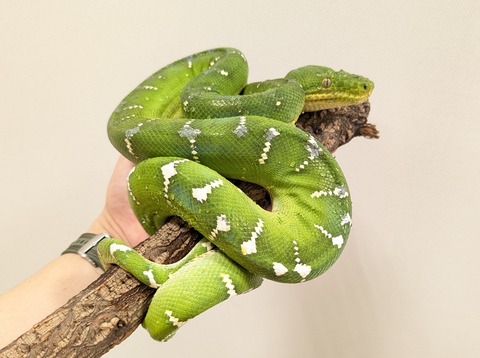 PXL_20250920_111546832~2