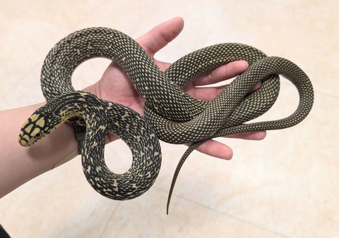 PXL_20251028_064005917~2