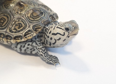 PXL_20250919_113941554~2