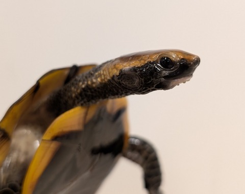 PXL_20250620_132552982~2