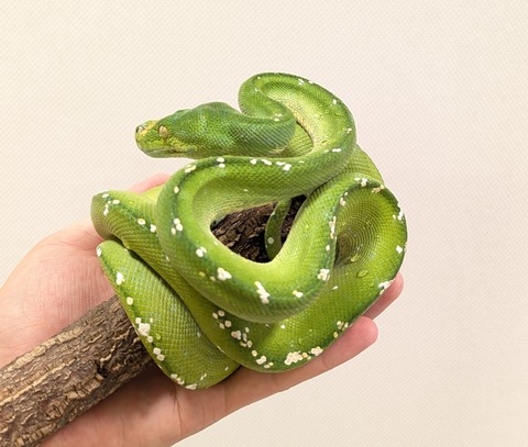 PXL_20250920_111300279~2