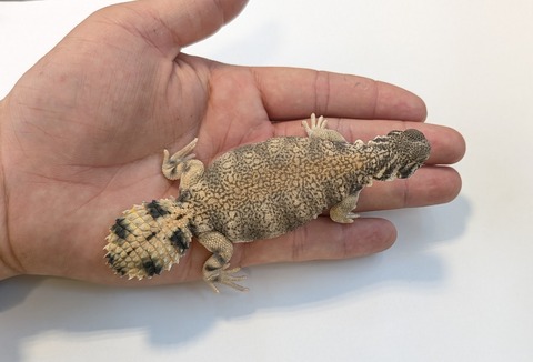 PXL_20251210_065814925~2