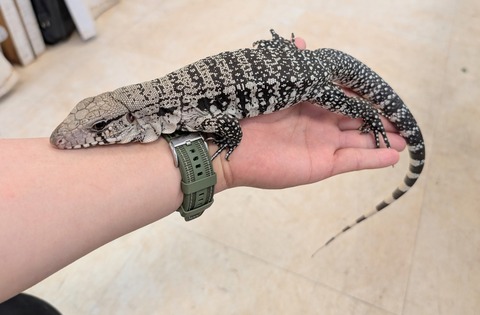 PXL_20250207_050833085~2