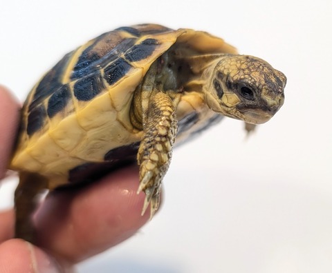 PXL_20251105_055208855~2