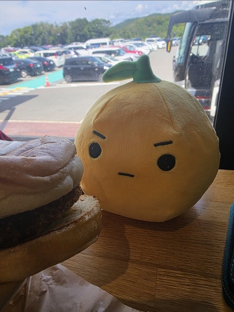 Screenshot_20250924_181644_Gallery