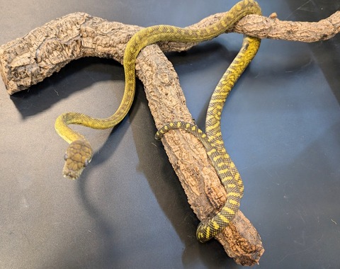 PXL_20250106_100135036~2