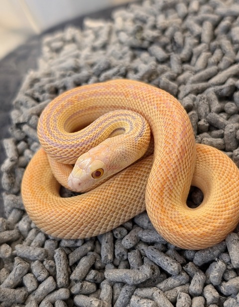 PXL_20241227_123125718~2