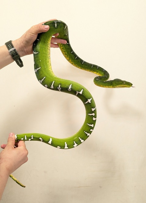 PXL_20260209_100253424~2