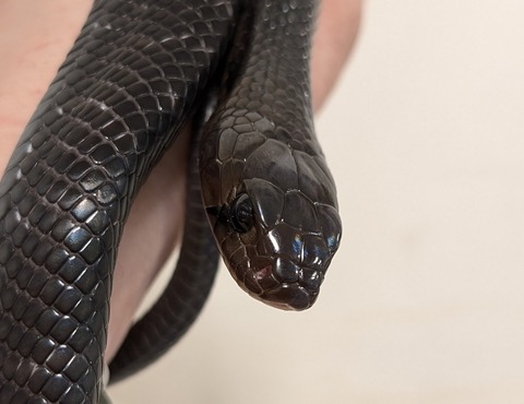 PXL_20260102_081549853~2