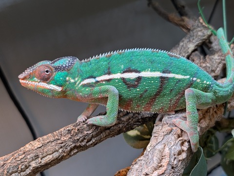 PXL_20250214_053839599