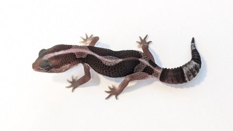 PXL_20250919_115721776~2