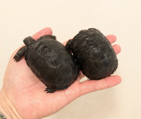 PXL_20260101_101301482~2