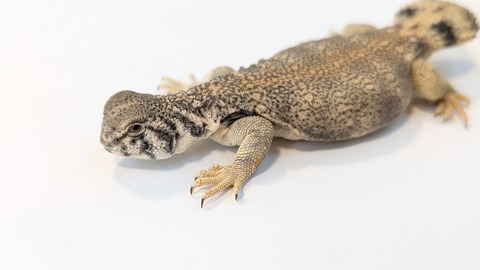 PXL_20250920_100052574