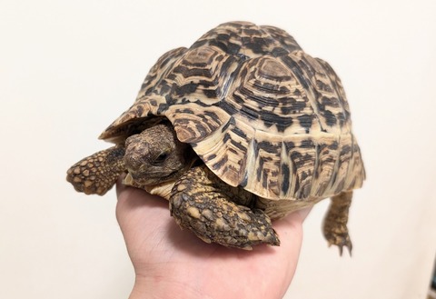 PXL_20250903_115214636~2