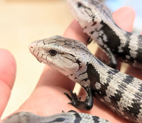 PXL_20250601_083459806~2