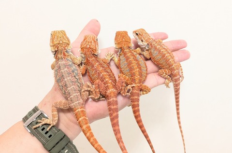 PXL_20250902_102933318~2