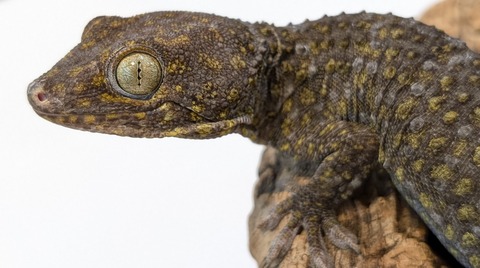 PXL_20251104_110421404~2