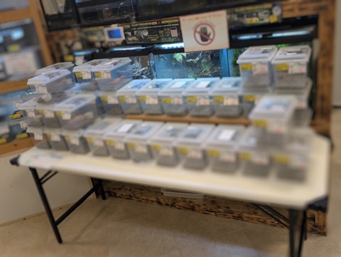 PXL_20250208_111158737~2