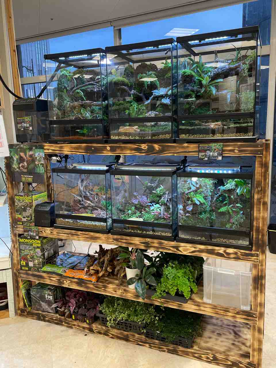 横須賀店バージョンアップ！！】 : 爬虫類クラブJ 横須賀店ブログ