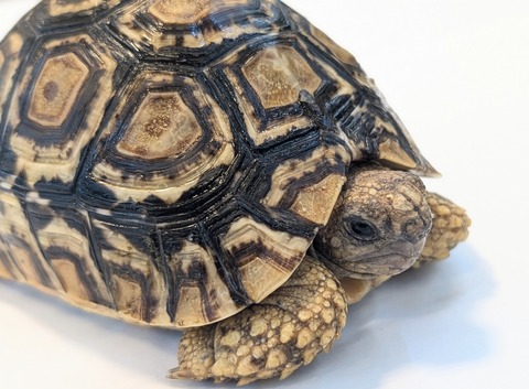 PXL_20251105_062244472~2