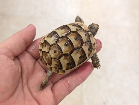 PXL_20260129_080141869~2